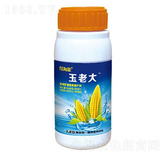 玉米田葉面噴肥-玉老大-康恩地