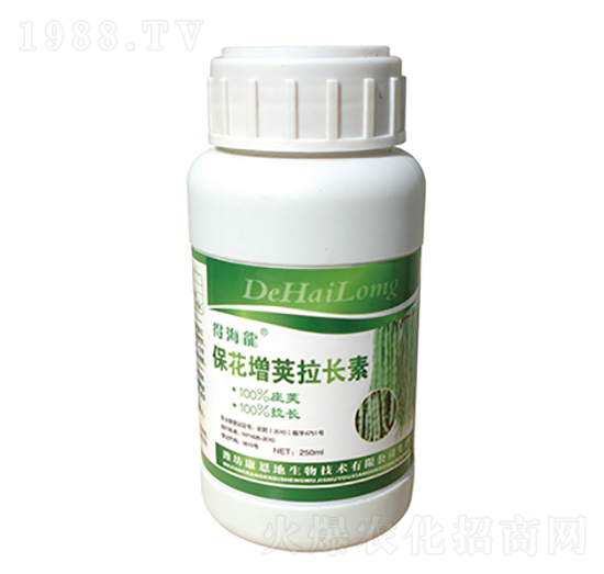 �������v���L��-�ú���-������