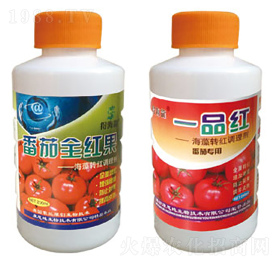 ����ȫ�t��+һƷ�t-�ú���-������