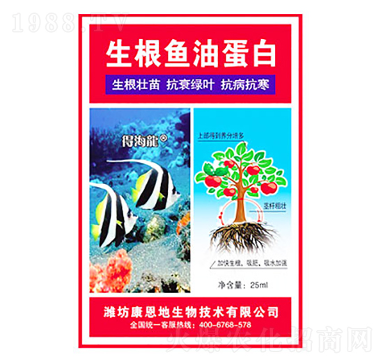 生根魚油蛋白-得海龍-康恩地