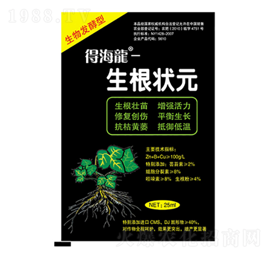 生根狀元-得海龍-康恩地