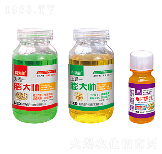 膨大帥-得海龍-康恩地