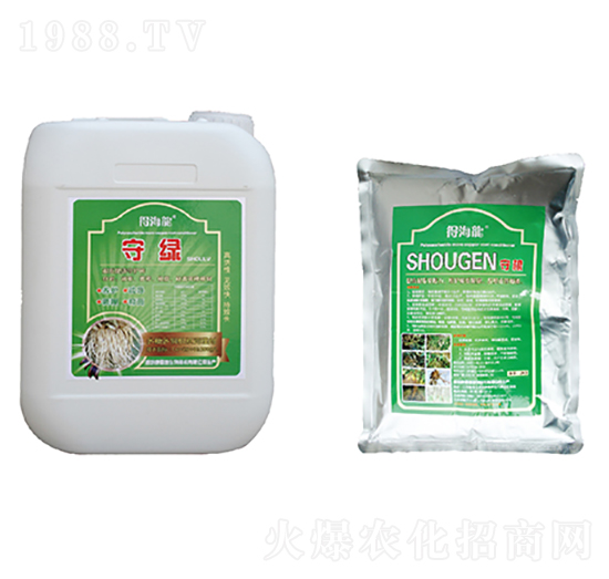 守綠、守根-得海龍-康恩地