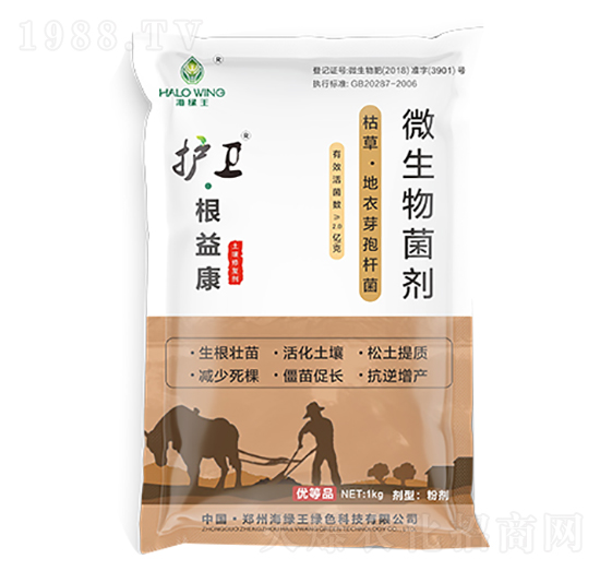 護衛(wèi)·根益康-海綠王