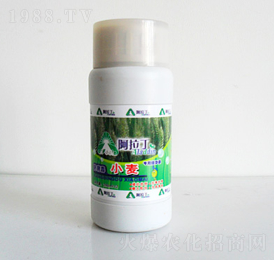 250ml小麥專(zhuān)用精華素-阿拉丁