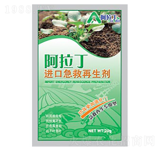 �M�ڼ���������-������