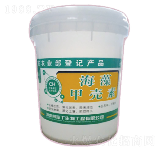 ����ך���-������