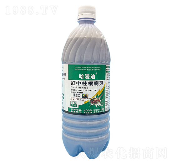 草莓紅中柱根腐靈-鑫科植保