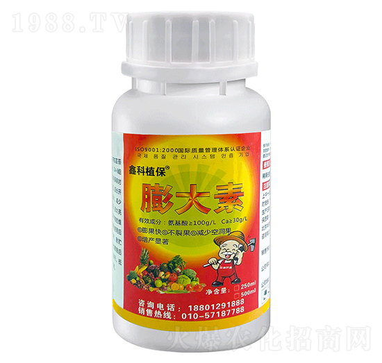 �����-�ο�ֲ��