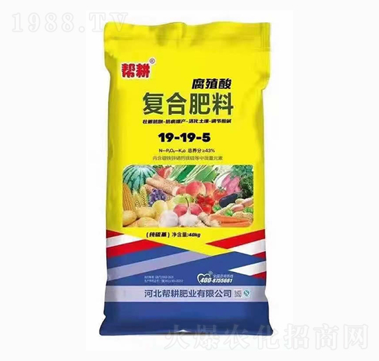 復合肥料19-19-5-幫耕肥業(yè)