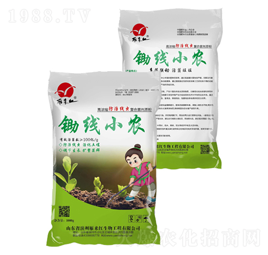 鋤線小農(nóng)-雁來紅