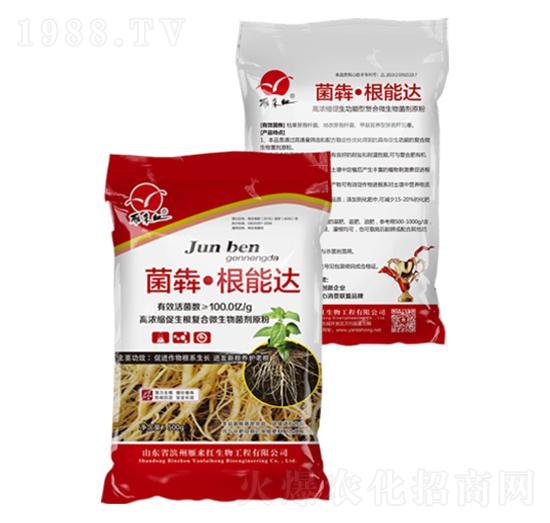 菌犇·根能達-雁來紅