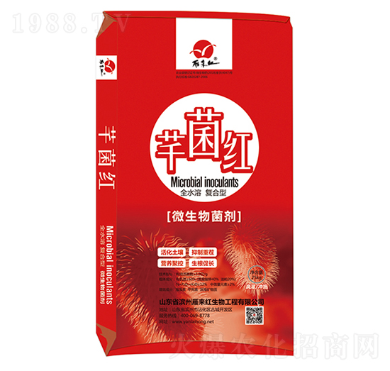 微生物菌劑-芊菌紅-雁來(lái)紅
