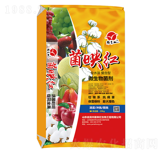 微生物菌劑-菌映紅-雁來(lái)紅