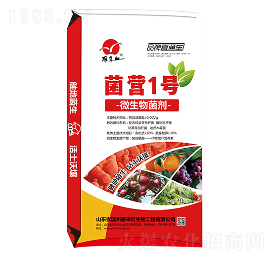 微生物菌劑-菌營1號-雁來紅