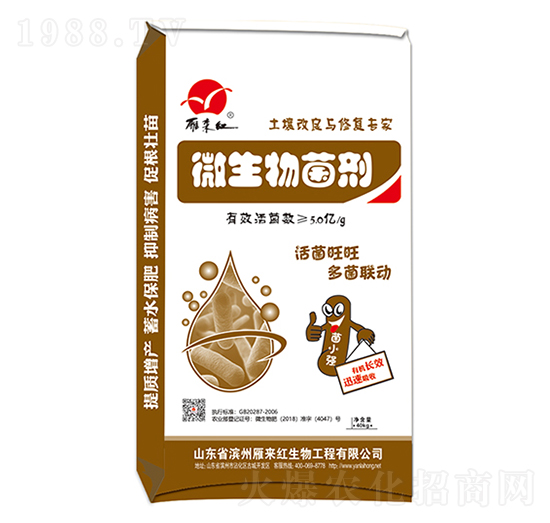 微生物菌劑-雁來(lái)紅