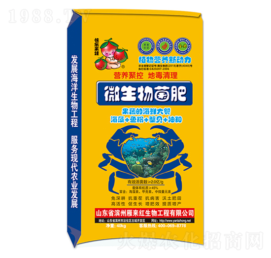 微生物菌肥-雁來(lái)紅