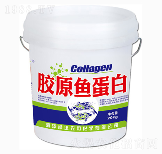 �zԭ�~����-�GӍ