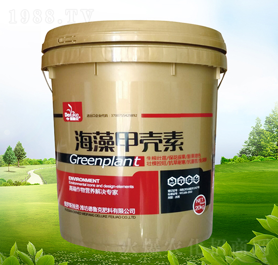 ����ך���-������