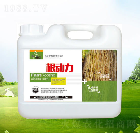 ����(d��ng)��-������