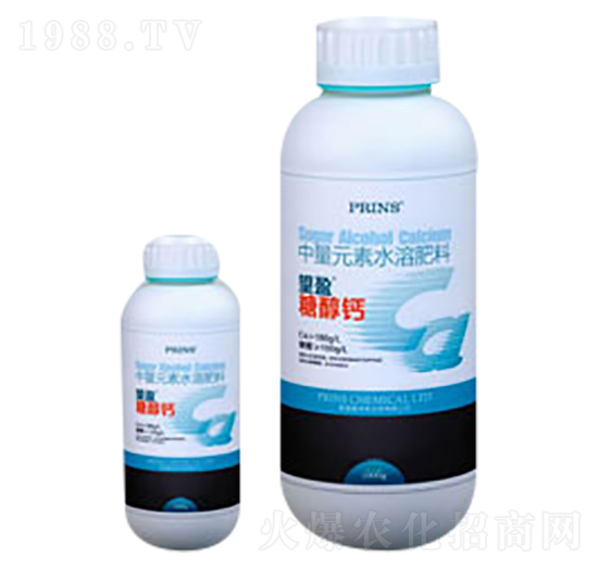 ��ӯ�Ǵ��}-Ӣ������˹