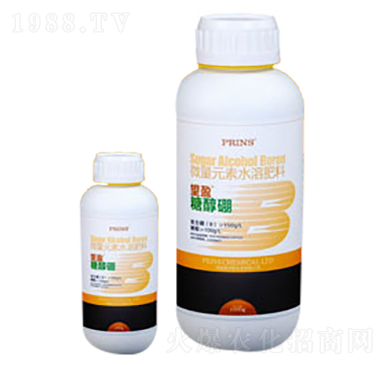 ��ӯ�Ǵ���-Ӣ������˹