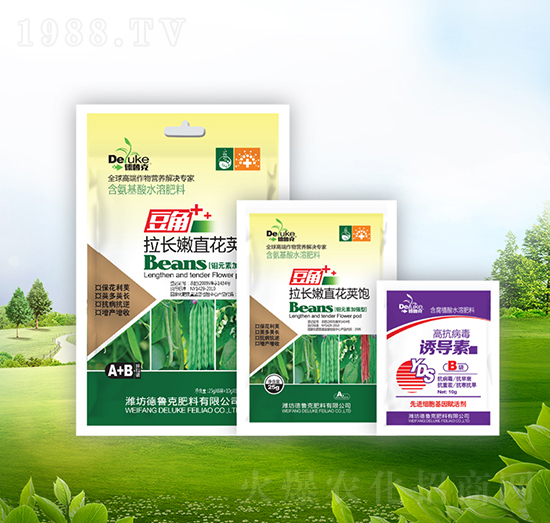 �������L(zh��ng)��ֱ���v�+�T��(d��o)��-������