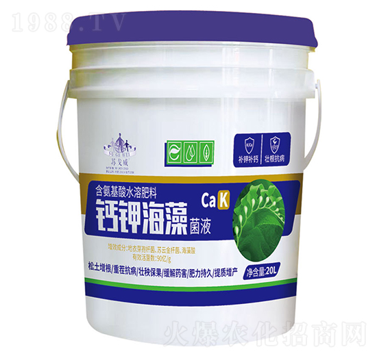 �}⛺����Һ-ɽ�|�������