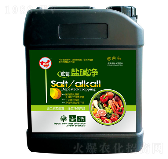 �ز��}�A��-ɽ�|�������