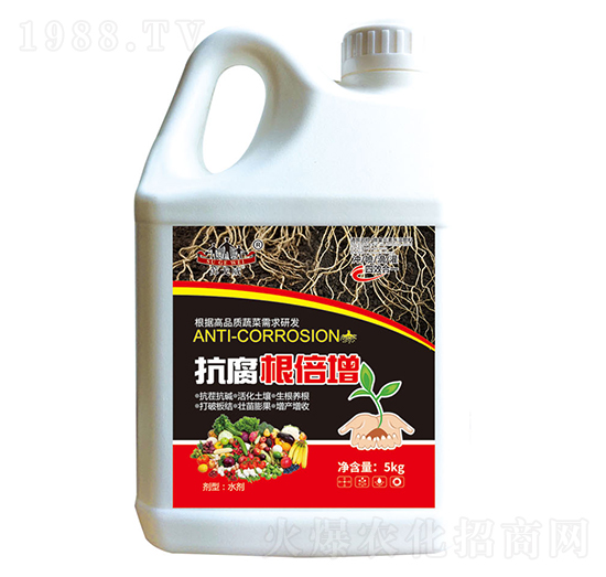 ����������-ɽ�|�������