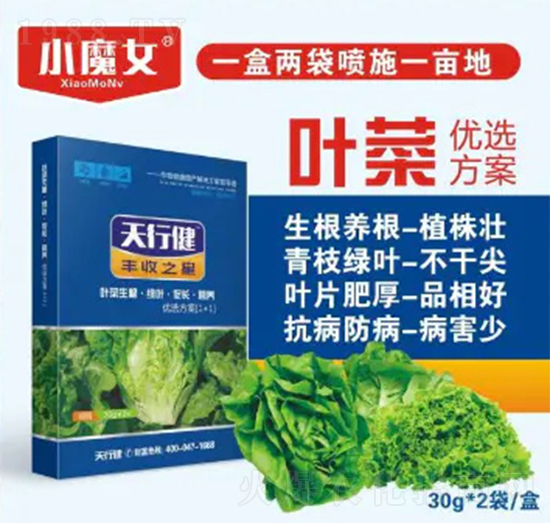 葉菜優(yōu)選方案-小魔女-天行健