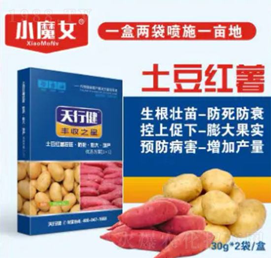 士豆紅薯-天行健