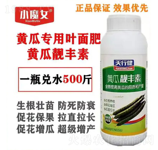 黃瓜專用葉面肥-黃瓜靚豐素-小魔女-天行健