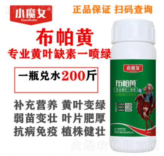 專業(yè)黃葉缺素一噴綠-布帕黃-小魔女-天行健