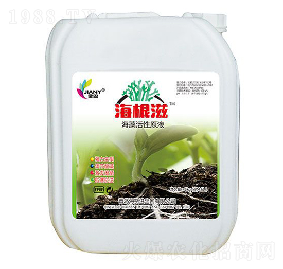 健盈·海根滋-海贊