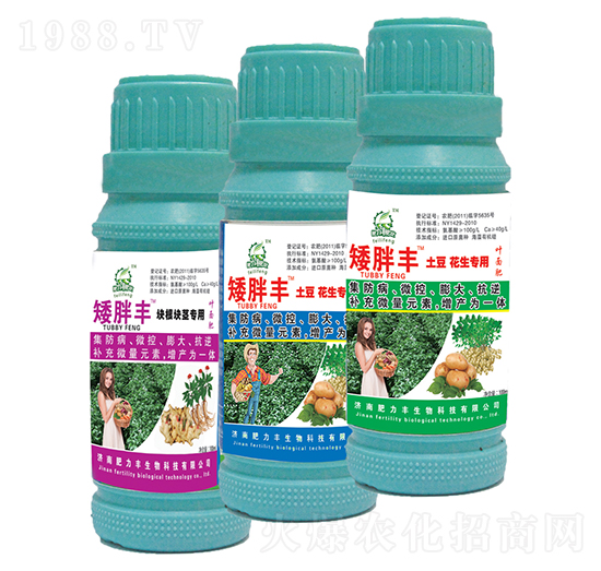 矮胖豐葉面肥-肥力灃