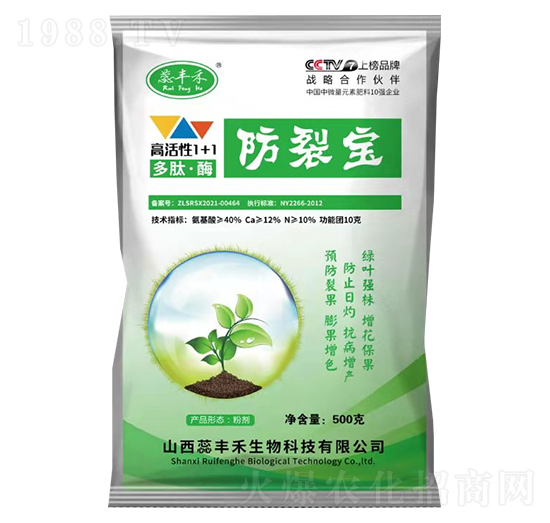 �߻���1+1���ġ�ø-���ь�-���S��