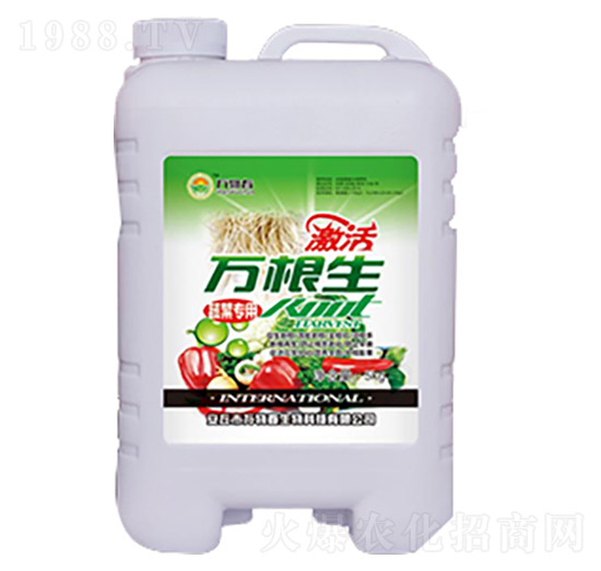 蔬菜型萬根生-萬物春