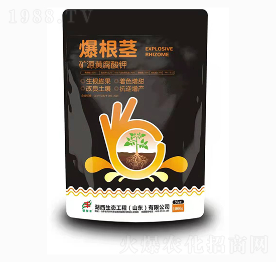 礦源黃腐酸鉀-爆根莖-湖西生態(tài)