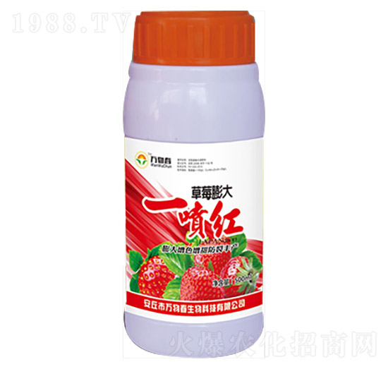 500ml草莓膨大一噴紅-萬(wàn)物春