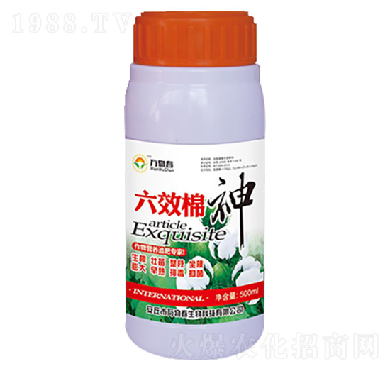 六效棉神-萬物春