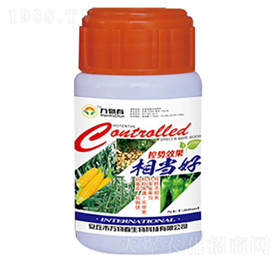 控勢(shì)效果相當(dāng)好-萬(wàn)物春
