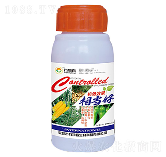 100ml控勢(shì)效果相當(dāng)好-萬物春