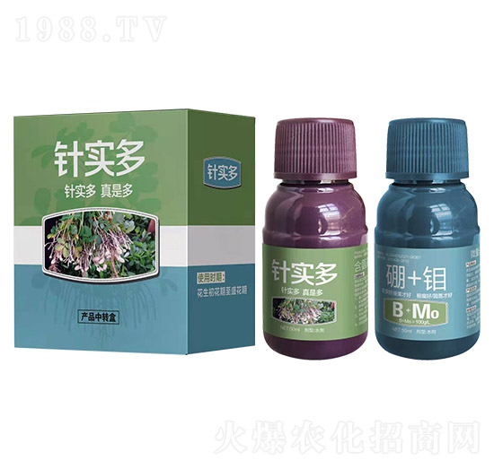 針實(shí)多-艾樂美