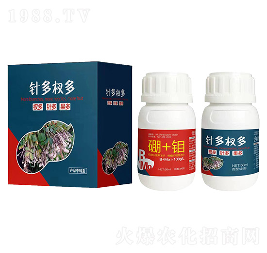 針多杈多-艾樂美