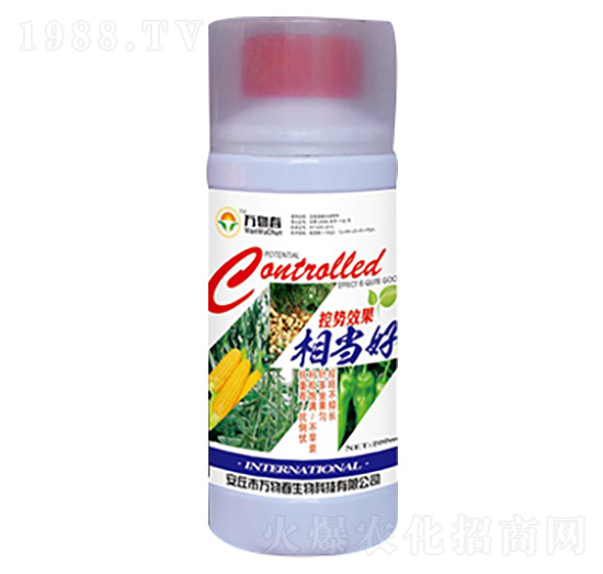 200ml控勢效果相當好-萬物春