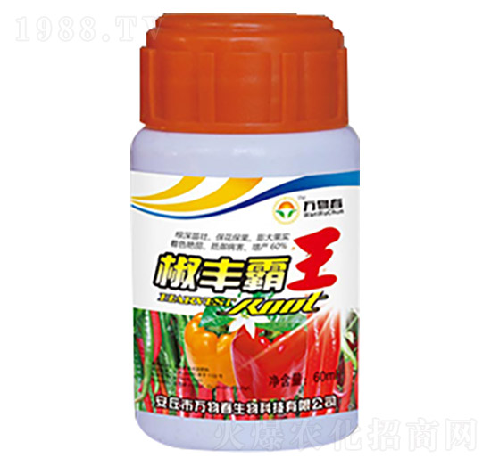 椒豐霸王-萬(wàn)物春