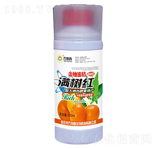 金柚蜜桔滿樹紅-萬物春