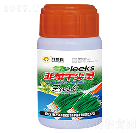 韭菜干尖靈-萬(wàn)物春