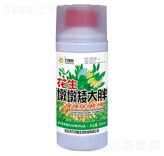 花生墩墩矮大胖-萬物春